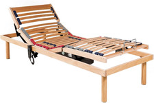 Rete Elettrica Motorizzata