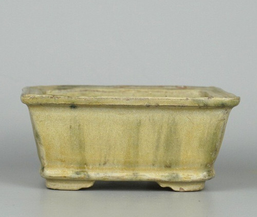 Vaso per bonsai - , giapponese