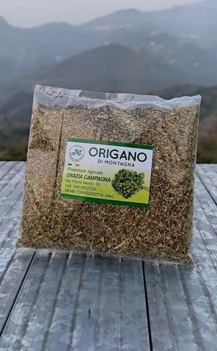 Origano siciliano - siciliano,