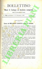 POLLONERA Carlo - Elenco dei