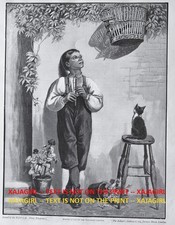 Flautista ragazzo suona flauto per uccellino canzone in gabbia ferito, grande stampa antica 1890