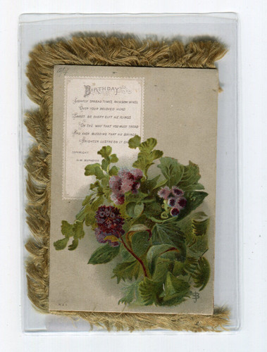 Cartolina libretto - cartolina,