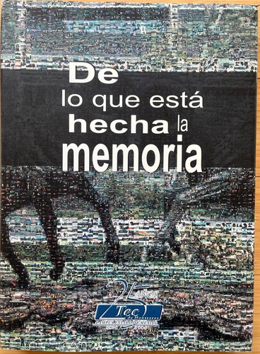 Mexico history monterrey - history,