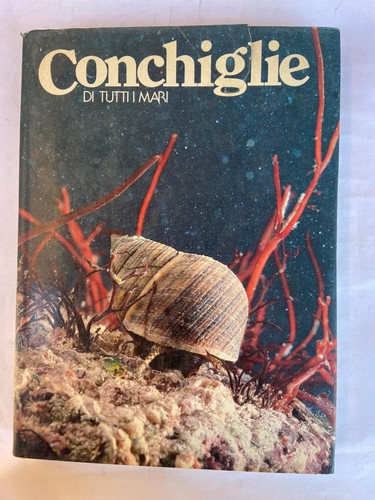 Conchiglie di tutti - vv.,