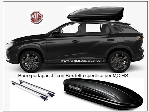 Barre tetto portapacchi con - barre,