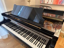 Ala Pleyel rarità ottime condizioni!