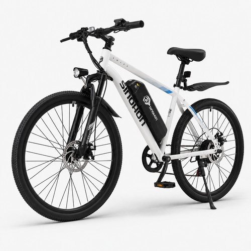 Bici elettrica city - elettrica, 26