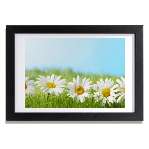 Quadro tulup mdf - quadro, incorniciato