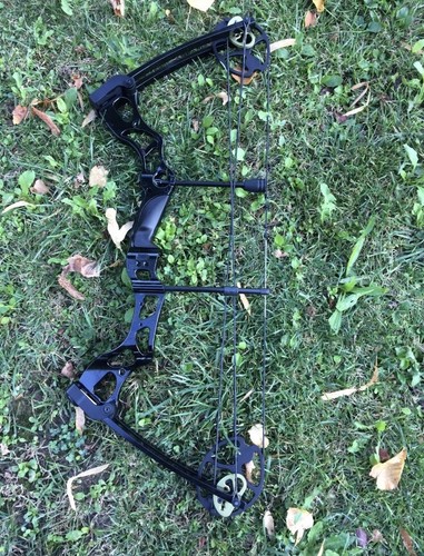 Arco compound lbs man - arco,