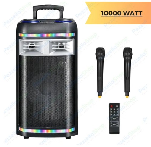 Cassa amplificata karaoke - cassa,