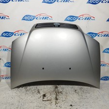 Cofano anteriore grigio steel Fiat Punto 2005 Rif. Art. ecoAC10839