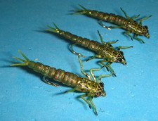 MOSCHE PESCA A MOSCA - Oliva