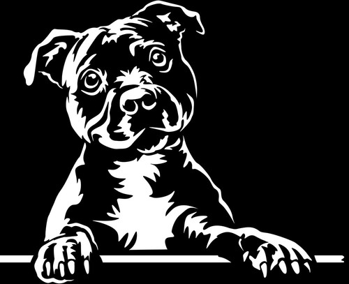 Adesivo staffordshire - adesivo,
