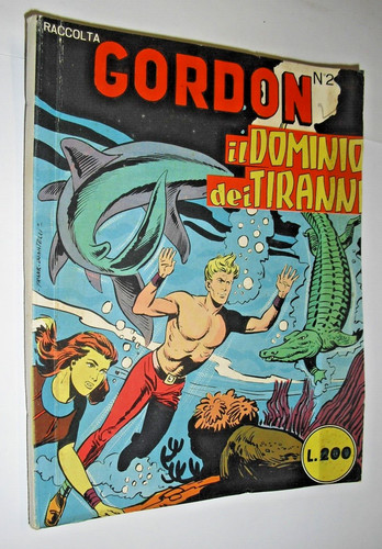 Raccolta gordon il dominio - n,