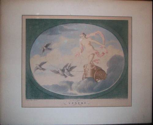Stampa antica venere carro - stampa,