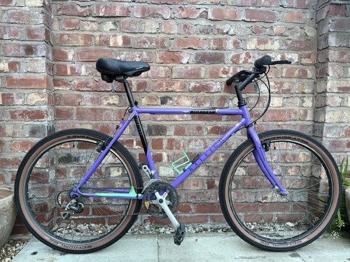 Mountain bike uomo raleigh - da,