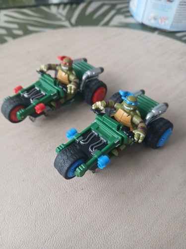 Carrera teenage mutant - go,