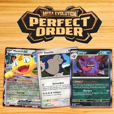 Pokémon Perfect Order Base