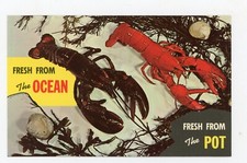 Cartolina d'epoca animali