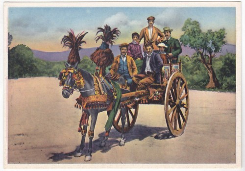 Costumi carretto siciliano - costumi,