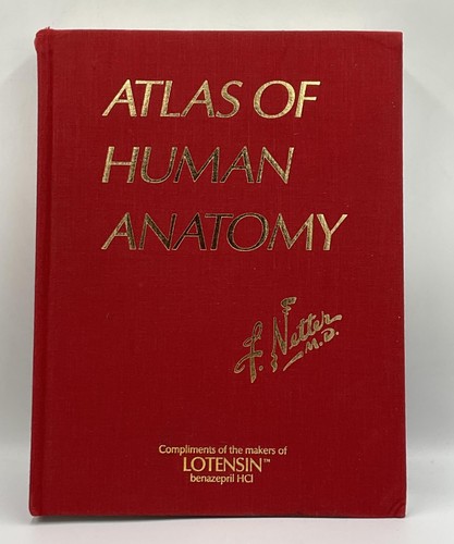 Vintage atlas human anatomy - vintage,