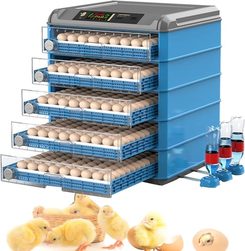 Incubatrice completamente