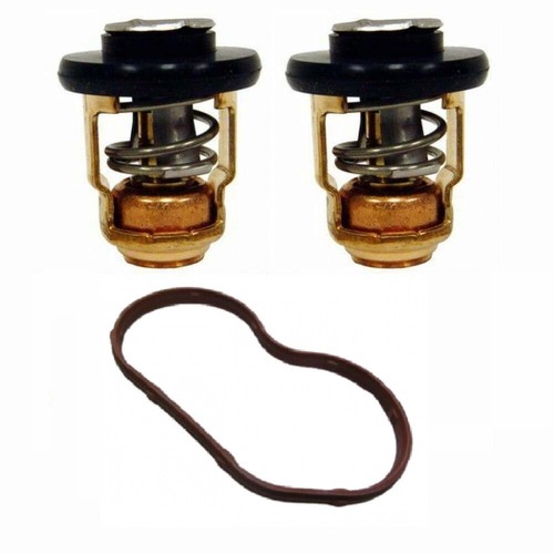 Kit termostato guarnizioni - termostato,
