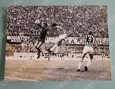 BONINSEGNA Foto d'epoca