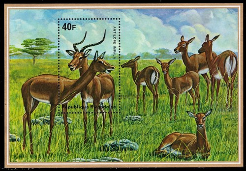 Rwanda 622 antilope - 622,