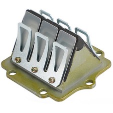 Sistema valvole a canna per