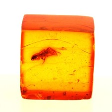 Collezione Abijoux Ambra Con