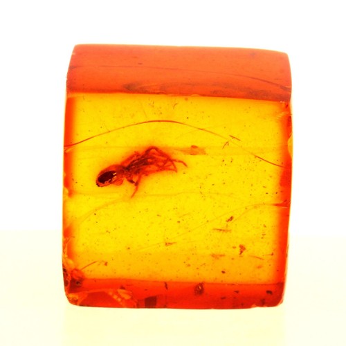 Collezione abijoux ambra - abijoux,