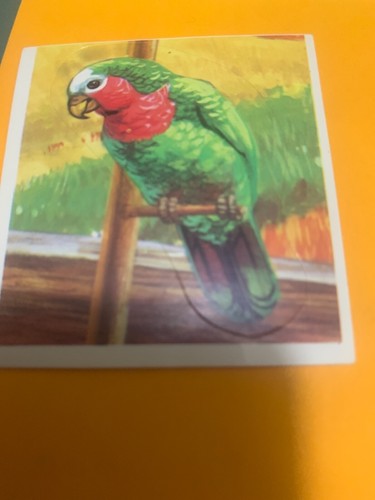 Figurina mondo degli - n.27,