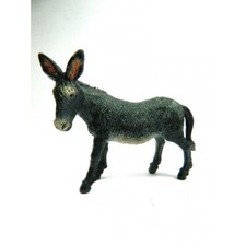 Asino in Piedi per Pastori