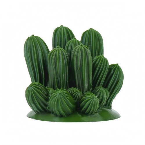 Decorazione cactus terrario - cactus,