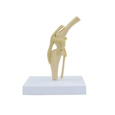 Ginocchiera cane modello