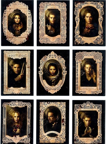 Cryptozoic the vampire diaries - cryptozoic,