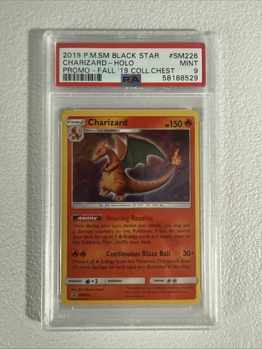 Pokemon 2019 black - 2019,