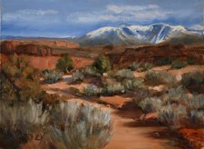 Quadro Canyonland montagne