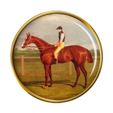 Spilla Di Cavallo Da Corsa, Di