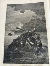 FIGUIER Luigi. I RETTILI, GLI ANFIBI ED I PESCI. Milano Treves, 1870-Prima ediz.