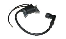 Bobina accensione elettronica