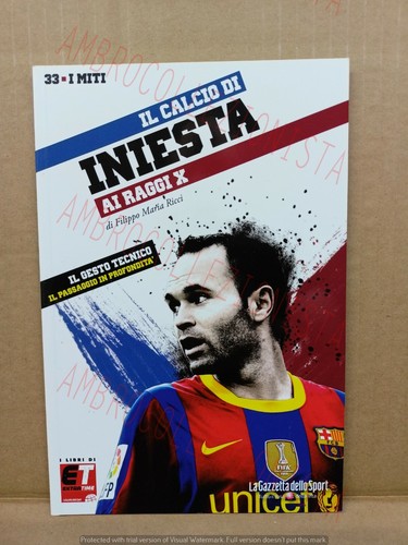 Calcio andres iniesta - calcio,