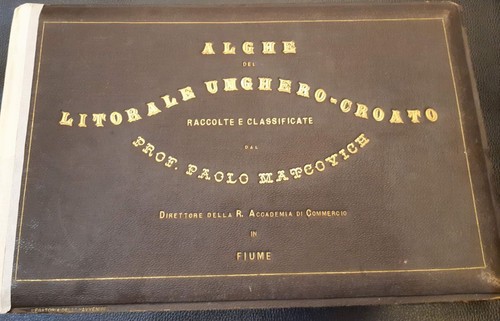 Paolo matcovich algae - matcovich, :