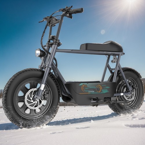 Electric scooter with seats - with,