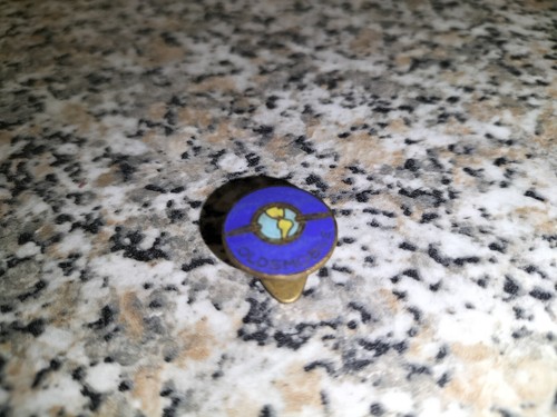 Pin spilla vintage - pin,