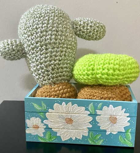 Cactus succulento fatto mano - a,