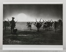 Bianco e Nero Fotografia