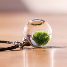 Collana con mini MARIMO Alga Palla Viva Gioiello Artigianale Pianta Giapponese