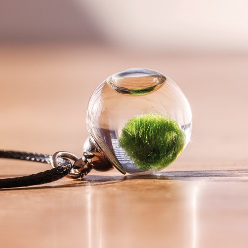 Collana con mini - , alga